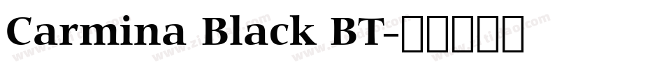Carmina Black BT字体转换